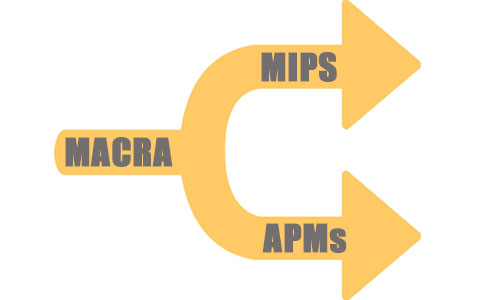 MIPS vs. APMs which path your medical practice need to take