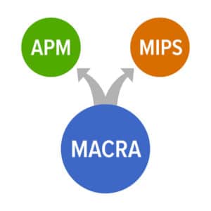 macra mips