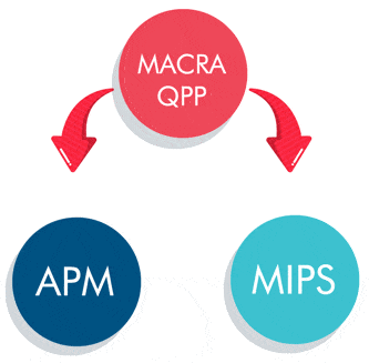 MACRA QPP Paths